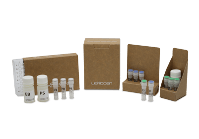 Image of the CORALL v2 library prep kit from Lexogen, a set of reagents and protocols for preparing high-quality RNA sequencing libraries The kit enables efficient and reliable library preparation for a wide range of RNA sequencing applications..