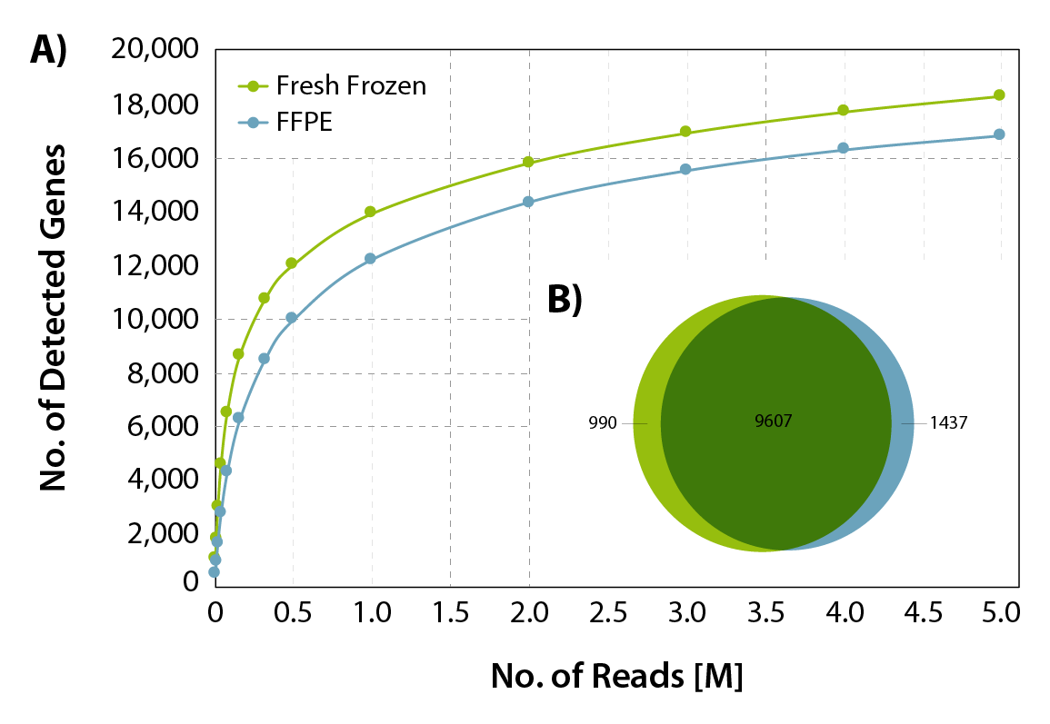 Figure 2: Gene discovery rates for fresh frozen (FF) and FFPE derived human liver RNA. A) Gene detection rates. The number of detected genes is plotted against the total number of reads mapping uniquely to exons. B) Overlap of detected genes at normalized expression levels >5 CPM (for uniquely mapping reads).